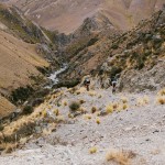 yonderjournal_deadreckoning_newzealand_day02-32