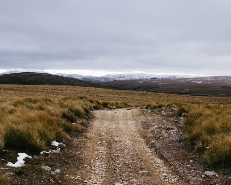 yonderjournal_deadreckoning_newzealand_day02-37