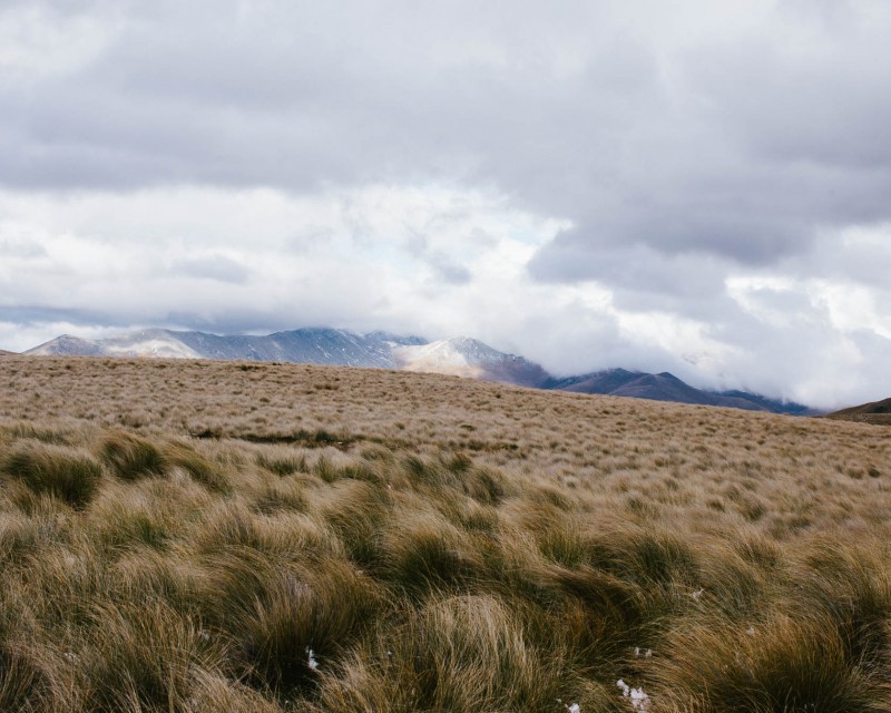 yonderjournal_deadreckoning_newzealand_day02-38