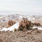 yonderjournal_deadreckoning_newzealand_day03-14