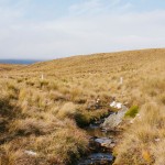 yonderjournal_deadreckoning_newzealand_day03-2