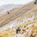 yonderjournal_deadreckoning_newzealand_day03-41