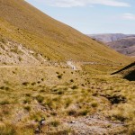 yonderjournal_deadreckoning_newzealand_day03-51