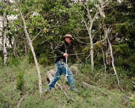 Mule Deer Radio Collaring