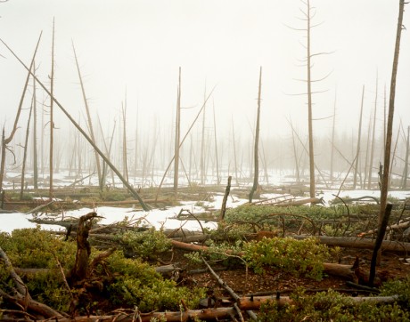 DFKWA: Baldface Creek – Part I