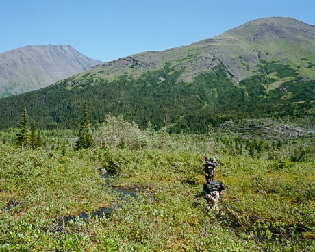 Bushwhacking in British Columbia