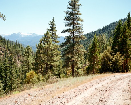 Mike Cherney on Black Bears
