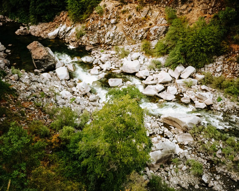 yonderjournal_brovet_msoj-12