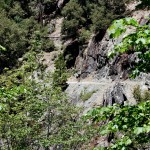 yonderjournal_brovet_msoj-139