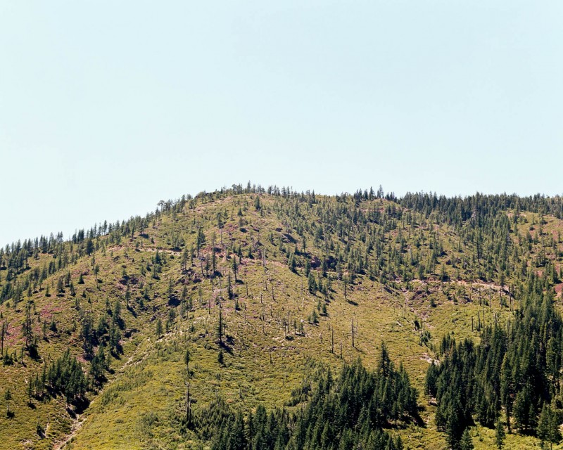 yonderjournal_brovet_msoj-143