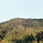 yonderjournal_brovet_msoj-143