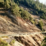 yonderjournal_brovet_msoj-184