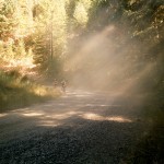 yonderjournal_brovet_msoj-212