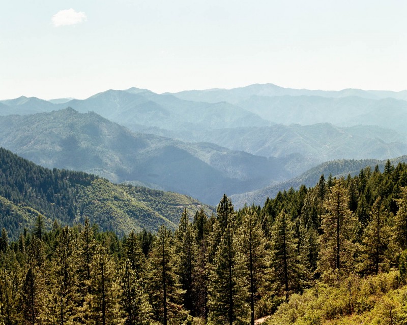 yonderjournal_brovet_msoj-218