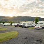 yonderjournal_brovet_msoj-223