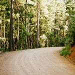 yonderjournal_brovet_msoj-38