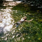 yonderjournal_brovet_msoj-39