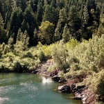 yonderjournal_brovet_msoj-74