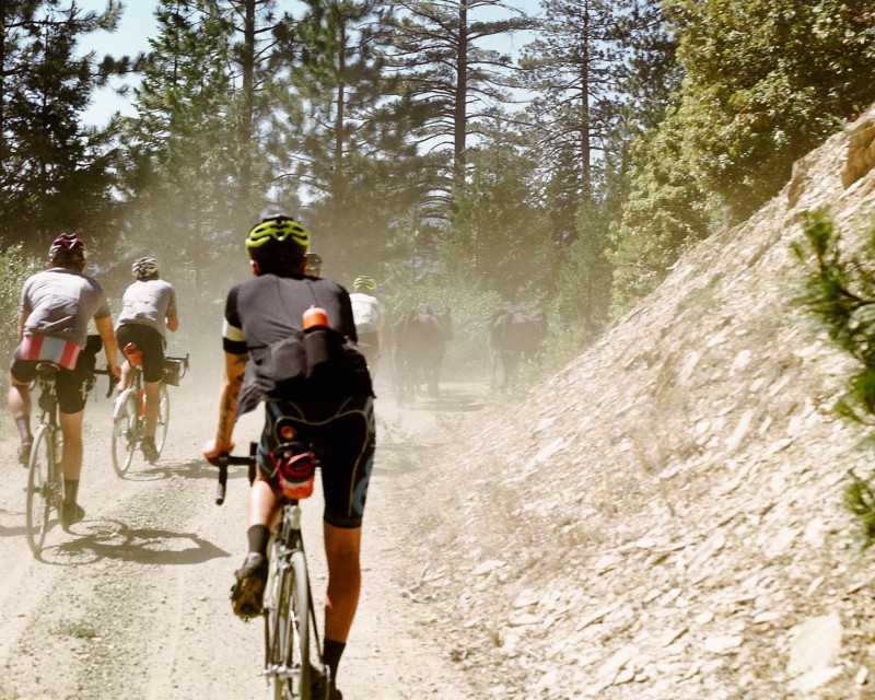 yonderjournal_brovet_msojcows-1