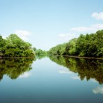 yonderjournal_brovet_natcheztrace-23