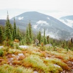 yonderjournal_firetowers_shortypeak-11