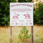 yonderjournal_firetowers_shortypeak-4