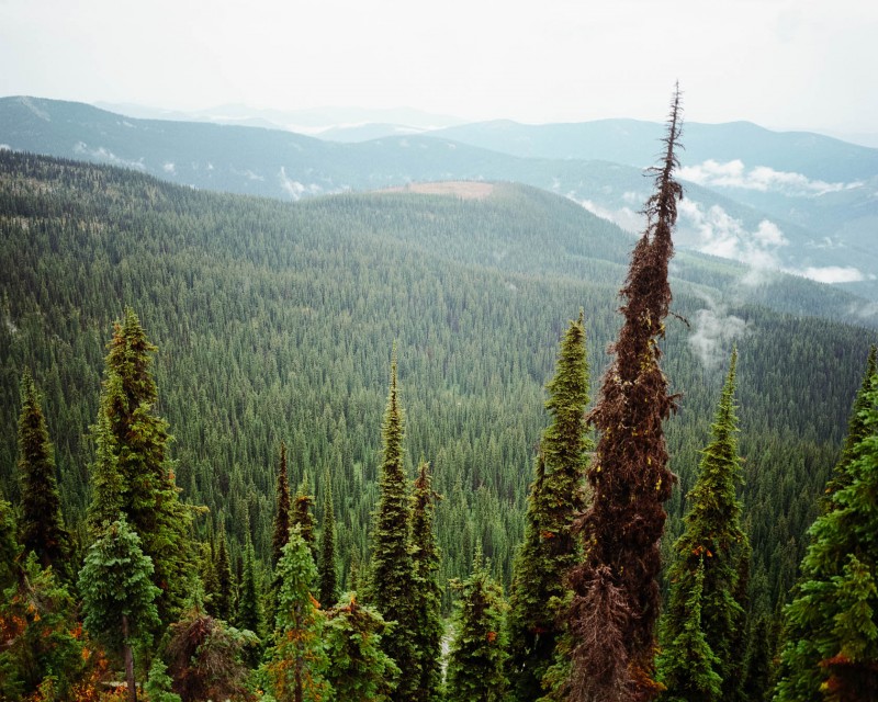 yonderjournal_firetowers_shortypeak-48