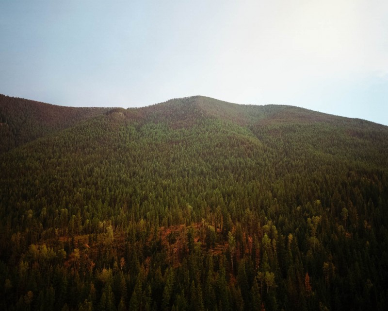 yonderjournal_firetowers_shortypeak-49