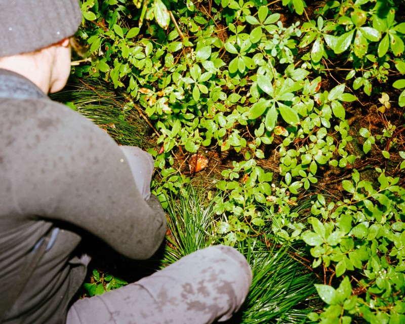 yonderjournal_firetowers_shortypeak-54