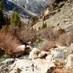 yonderjournal_hotsprings_goldbug-1