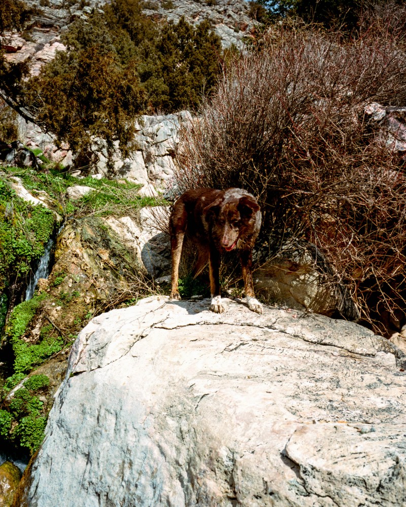 yonderjournal_hotsprings_goldbug-25