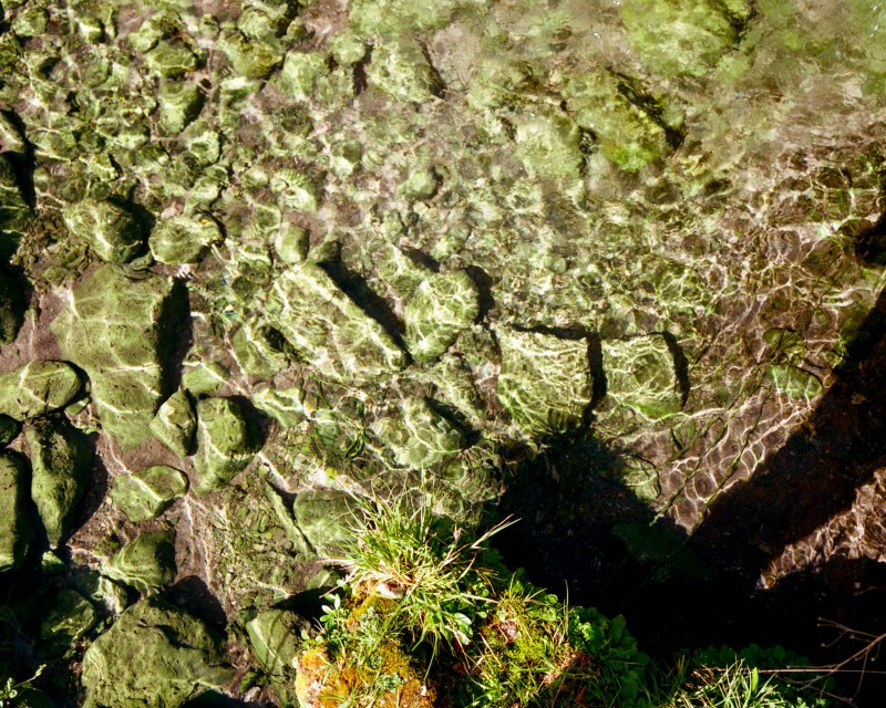 yonderjournal_hotsprings_goldbug-37