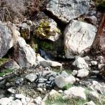 yonderjournal_hotsprings_goldbug-4