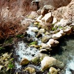 yonderjournal_hotsprings_goldbug-42