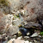 yonderjournal_hotsprings_goldbug-43