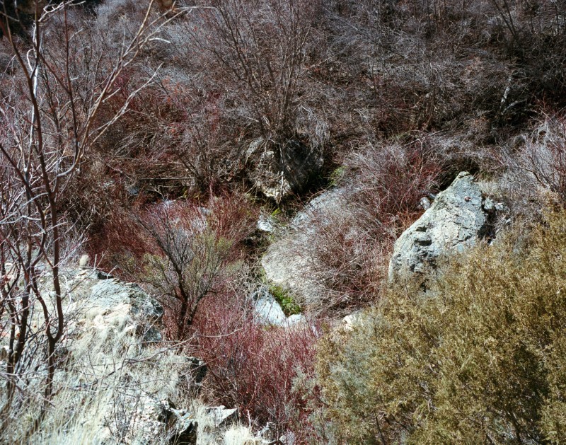 yonderjournal_hotsprings_goldbug_hike-16