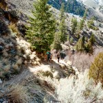 yonderjournal_hotsprings_goldbug_hike-7