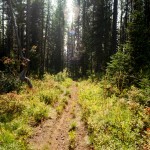 yonderjournal_idahofiretowers_aridpeak-12