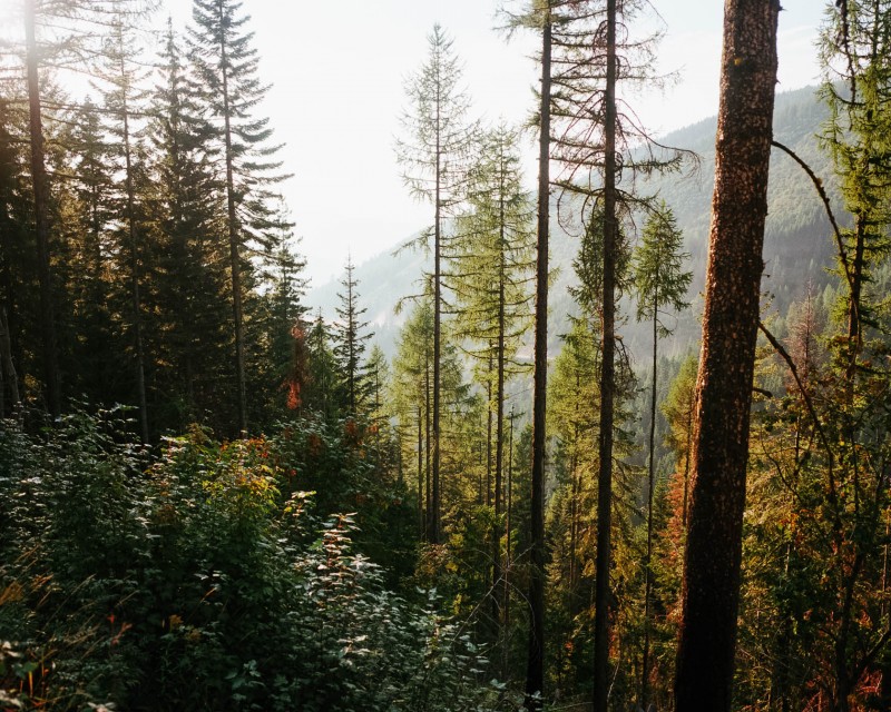 yonderjournal_idahofiretowers_aridpeak-14