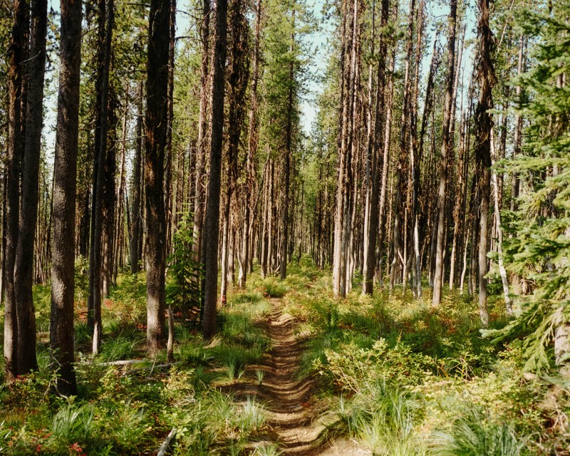 yonderjournal_idahofiretowers_aridpeak-16