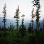 yonderjournal_idahofiretowers_aridpeak-18