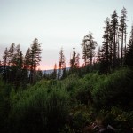 yonderjournal_idahofiretowers_aridpeak-19