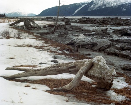 Turnagain Mud Flats