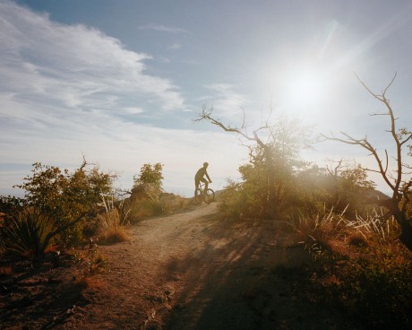 Sarah Plummer Lemmon & Matt Hall