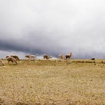 yonderjournal_deadreckoning_sunchuli-69