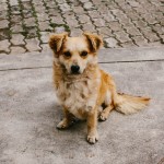 yonderjournal_deadreckoning_sunchulipas_daysix-108