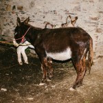 yonderjournal_deadreckoning_sunchulipas_daysix-116