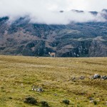 yonderjournal_deadreckoning_sunchulipas_daysix-93