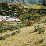 yonderjournal_deadreckoning_sunchulipas_daysix-99