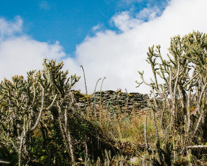 yonderjournal_deadreckoning_sunchulipas_daythree-3